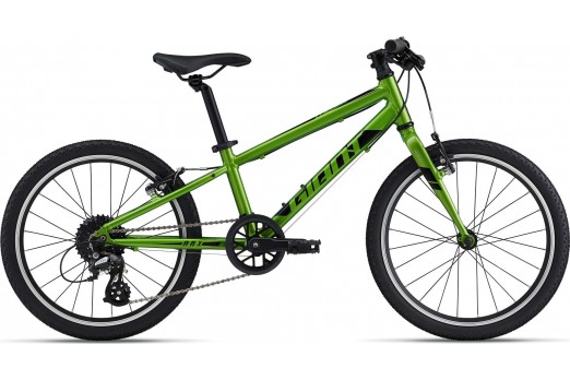 GIANT kids bicycle ARX 20 metallic green 2022