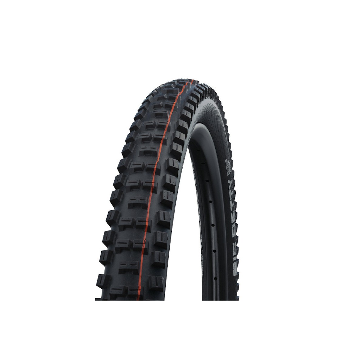 SCHWALBE BIG BETTY 29 x 2.40 tubeless tyre