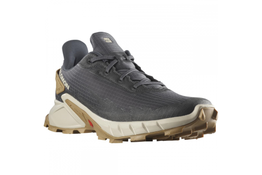 SALOMON ALPHACROSS 4 trail running shoes - grey/light brown