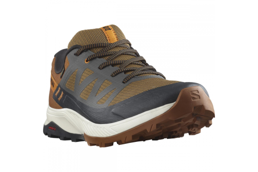 SALOMON OUTRISE GORE-TEX men's hiking shoes - brown