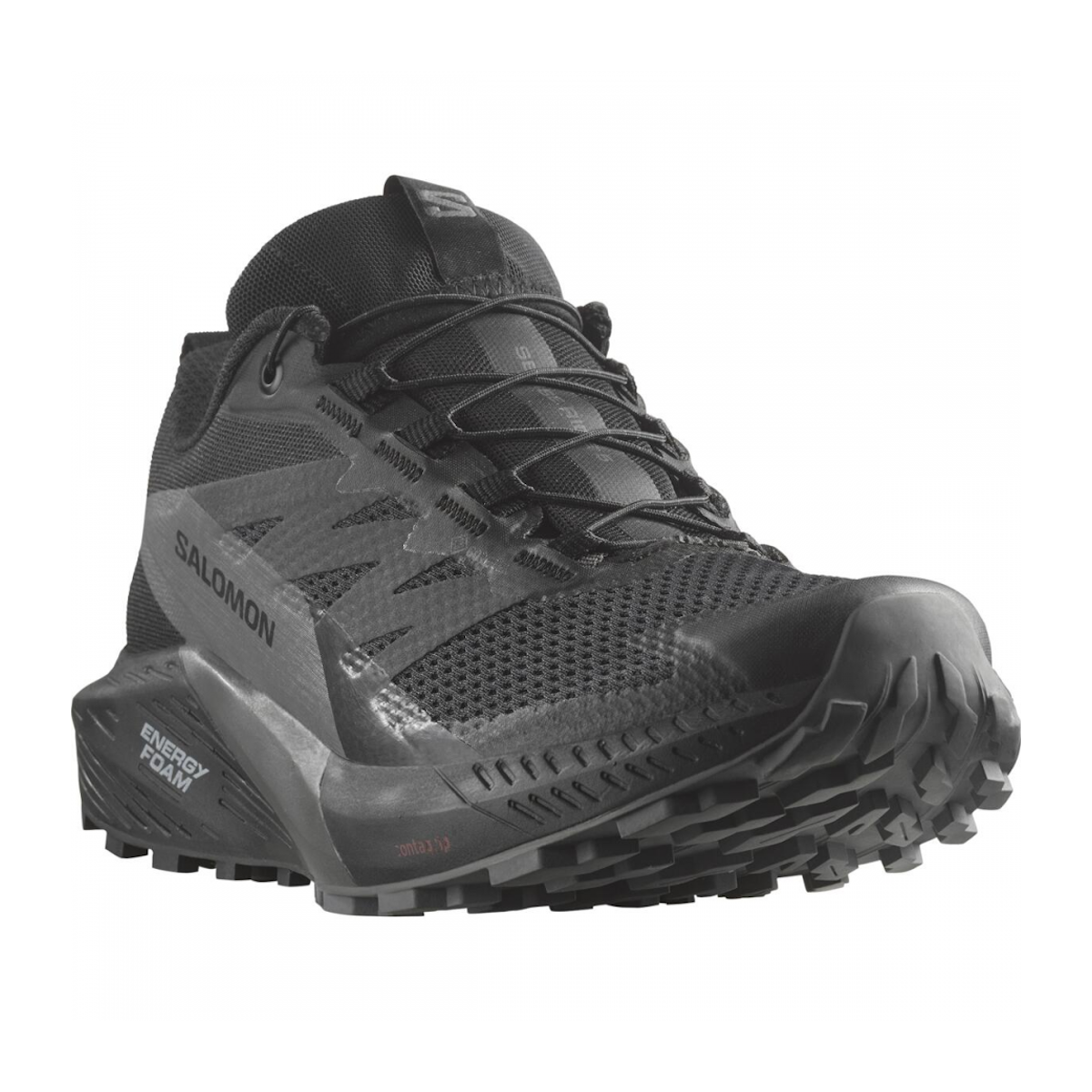 SALOMON SENSE RIDE 5 GTX trail running shoes - black/dark grey