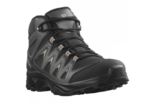 SALOMON X BRAZE MID GTX hiking footwear - black/grey