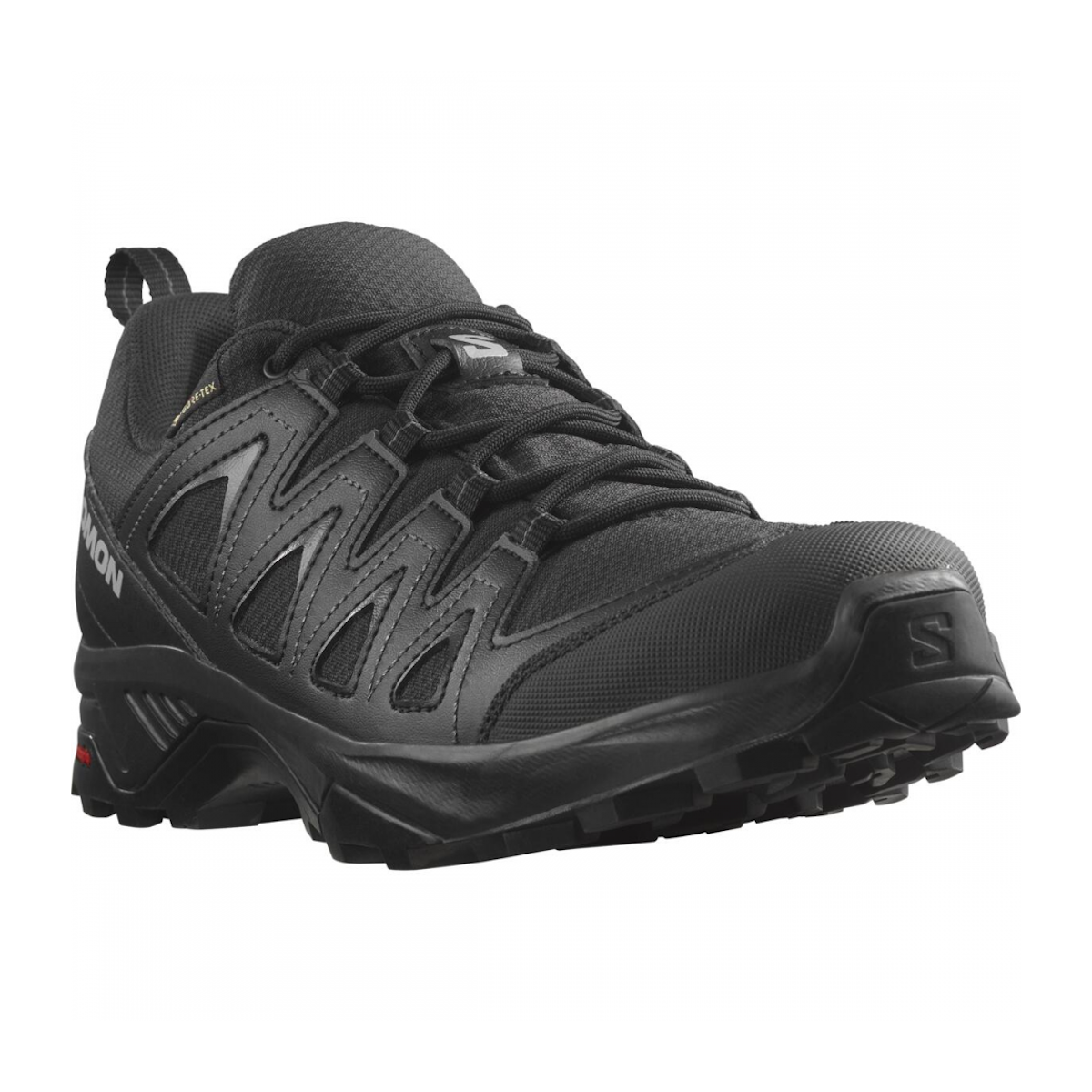 SALOMON X BRAZE GTX hiking footwear - black