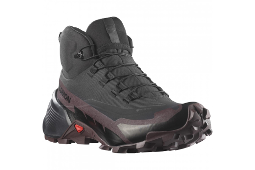 SALOMON CROSS HIKE MID GTX 2 W hiking footwear - black/violet