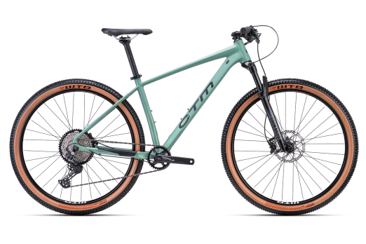 CTM RASCAL 3.0 29 bicycle - green 2024