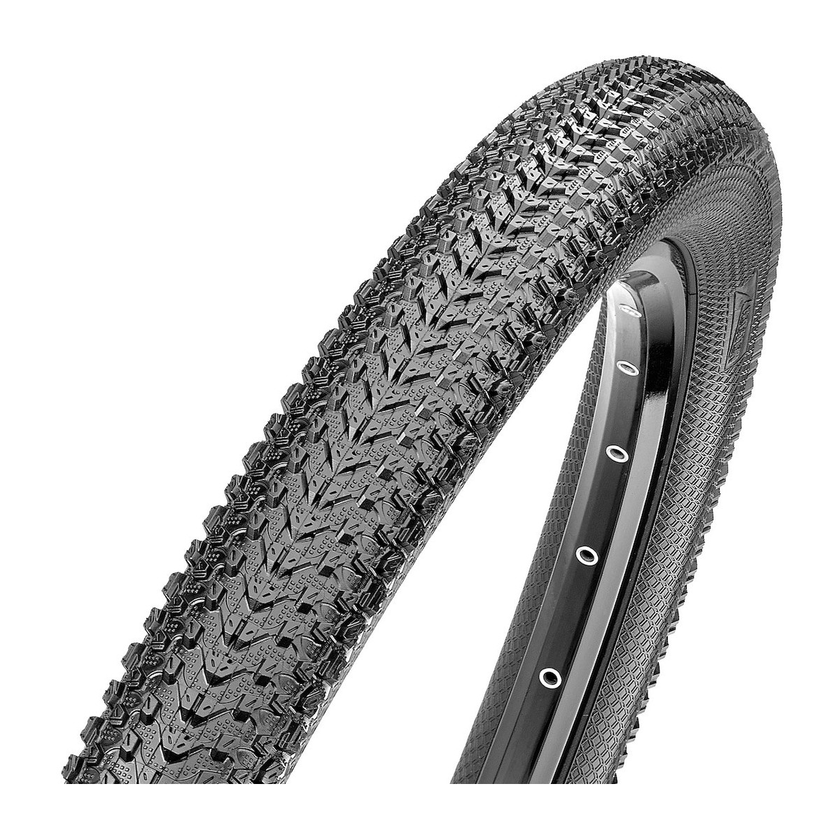MAXXIS PACE SINGLE 29 x 2.10 tyre