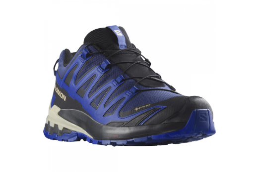 SALOMON XA PRO 3D V9 GTX trail running shoes - blue/black