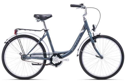 CTM SANDRA 24 bike - grey/blue 2024