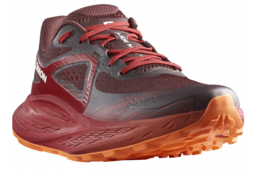 SALOMON GLIDE MAX TR trail running shoes - brown/red/orange